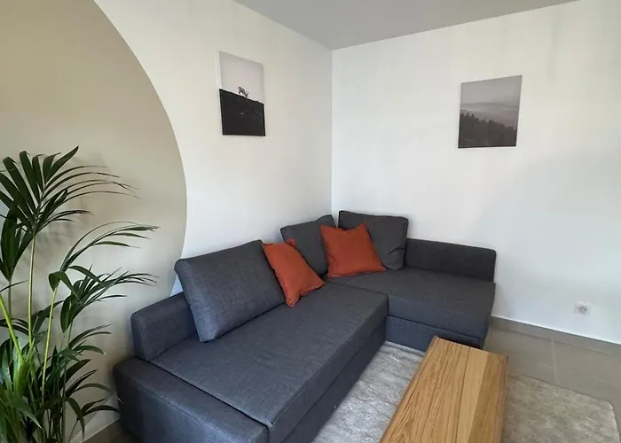 דירה L'alpin, Coeur De גרנובל