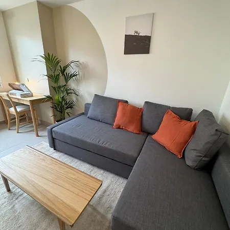 L'alpin, Coeur De Apartment Grenoble